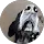 Gábor Dávid profile picture